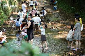 杭州九溪戏水消暑“觅”清凉  第6张