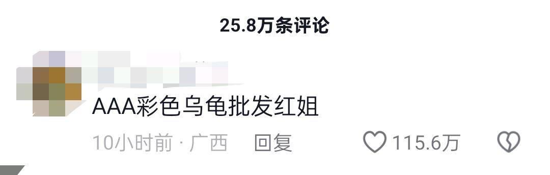 摆了满地！全红婵到底买了多少乌龟？网友辣评：AAA彩色乌龟批发红姐  第2张