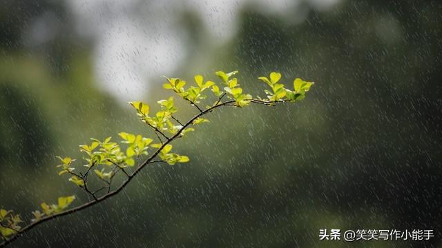 最新:山东最大降雨量已达180毫米，中央气象台预测大暴雨继续