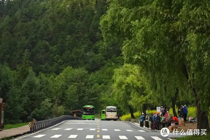 九寨沟的氪金玩法，带老人孩子一定要用上！比环球和迪士尼都更值  第2张