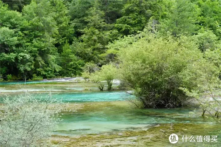 九寨沟的氪金玩法，带老人孩子一定要用上！比环球和迪士尼都更值  第24张