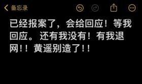 三只羊卢文庆录音门后续 ! 七老板与卓仕琳报警：如果是真的我去死  第10张