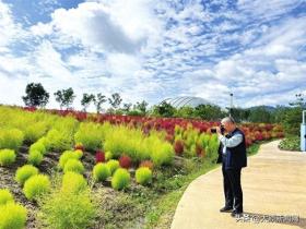 太原市各公园迎来赏叶最佳观赏期  第1张